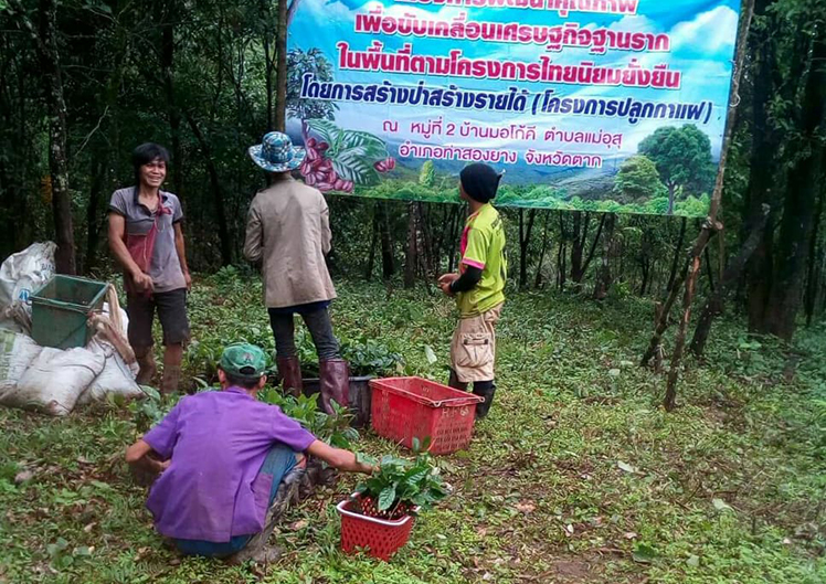 TSYCoffeeプロジェクト