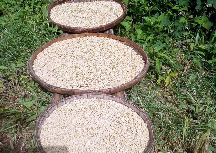 TSYCoffeeプロジェクト