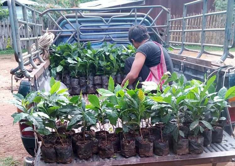 TSYCoffeeプロジェクト