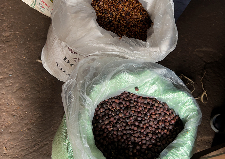 TSYCoffeeプロジェクト