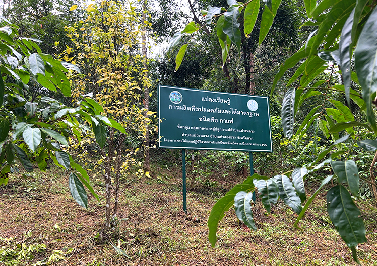 TSYCoffeeプロジェクト