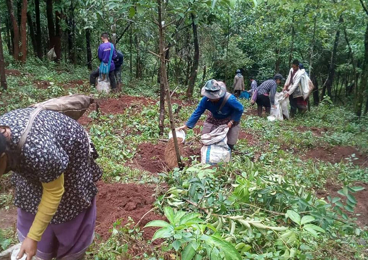 TSYCoffeeプロジェクト