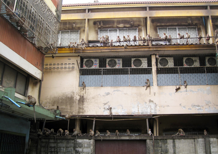 熱帯医学セミナー